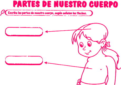 Partes de nuestro cuerpo: 1er grado