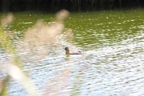 #stokkeonthego-estilostiletto (2)