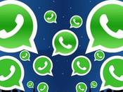 WhatsApp Messenger, Como configurar Cliente