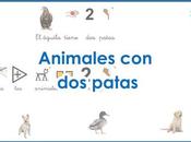 Animales patas. Parte