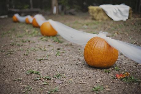 ¡¡Dame Calabazas!!