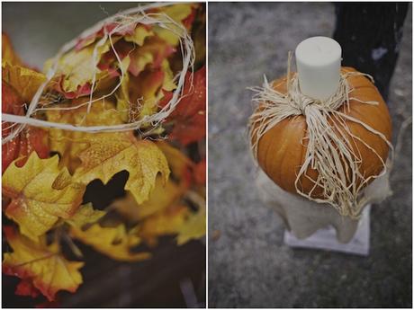 ¡¡Dame Calabazas!!