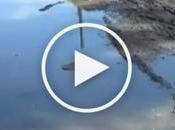 Población denuncia insalubridad Cienfuegos incremento dengue