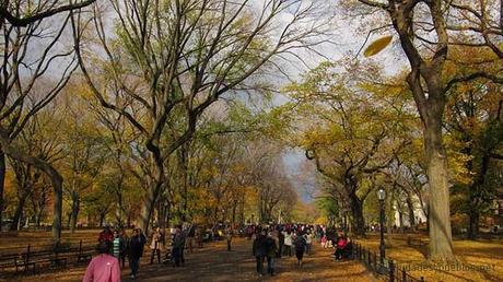 Central Park, Manhattan, Nueva York./flickr creativecommons/Pablo.