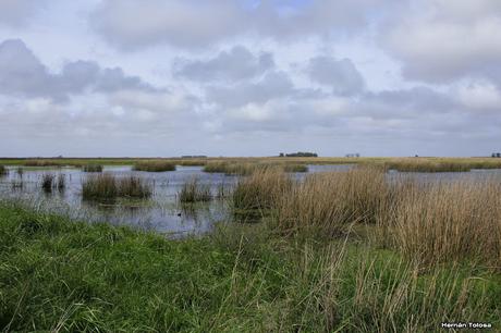 Gorchs (4 de octubre de 2015)