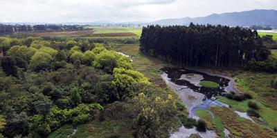 RESERVA FORESTAL ¨Thomas Van der Hammen de Bogotá¨ LA MÁS GRANDE DE AMÉRICA DEL SUR