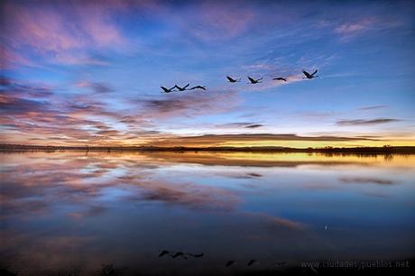 John Fowler/flickrCreative Commons.