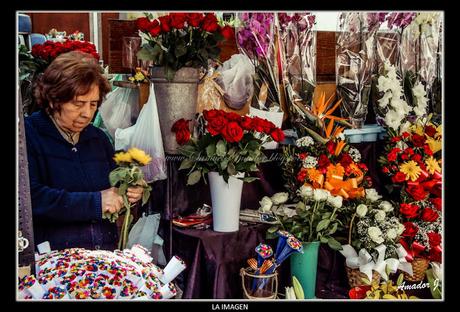 BARCELONA: LA RAMBLA (LES RAMBLES)