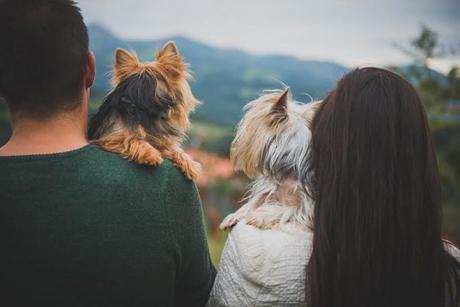 Isaías y Loreto: Preboda en Asturias… rodeados de naturaleza (¡y animales!) Preboda en Grao Flor de Naranja