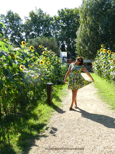 Florecilla del Campo · Outfit