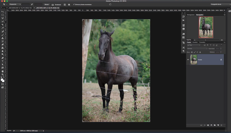 Cómo sustituir una parte de una fotografía por otra con Photoshop Captura de pantalla 2015-10-21 a las 12.51.37