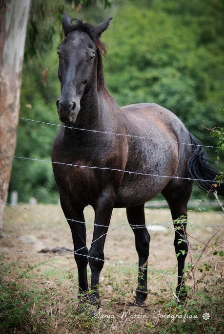 Cómo sustituir una parte de una fotografía por otra con Photoshop Sustituir una parte por otra con Photoshop