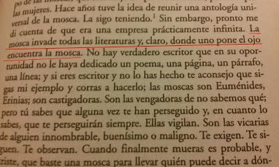 Las moscas de Monterroso