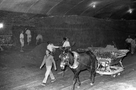 La Postal de la semana: Cita íntima con la Calle del Codo