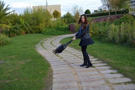 Autumn between fringes DSC_8505