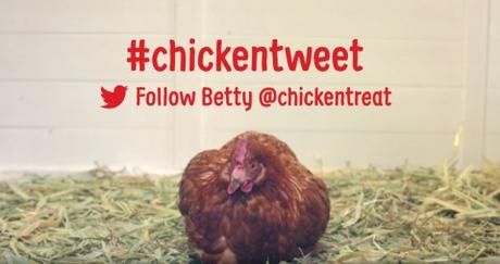 chickentweet-tiempodepublicidad4