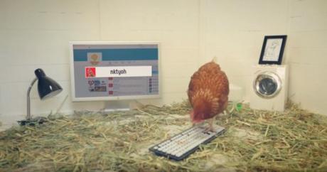 chickentweet-tiempodepublicidad3