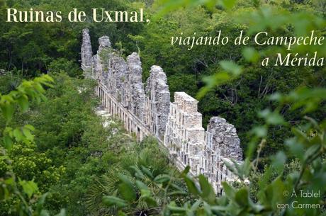 Ruinas de Uxmal, viajando de Campeche a Mérida.