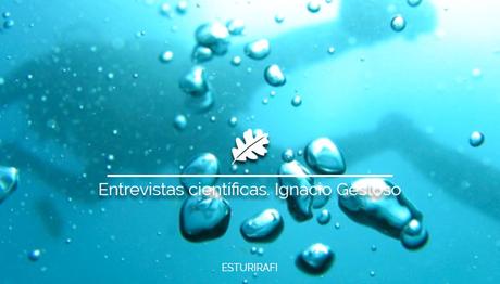 Entrevistas científicas. Ignacio Gestoso Biólogo Marino