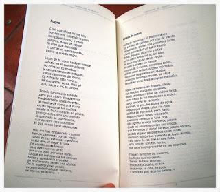 Canciones de Hierro, nuevo libro de poemas