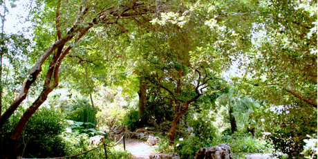 4º encuentro de paisaje en Valencia