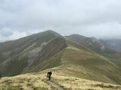 Senda Camille. Etapa refugio Gabardito Lizara
