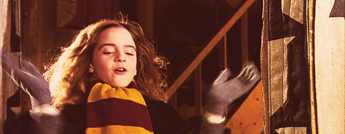 Esta es la línea de maquillaje labial basado en Harry Potter Esta es la línea de maquillaje labial basado en Harry Potter