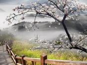 Solución #EjercicioFengShui