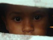 pediatras Estados Unidos preguntarán niños pasan hambre