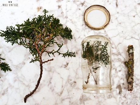 diy, hazlo tu mismo, do it your self, halloween, cardenal, bote de cristal, diorama, fanal, campana cristal