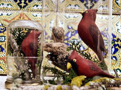 diy, hazlo tu mismo, do it your self, halloween, cardenal, bote de cristal, diorama, fanal, campana cristal