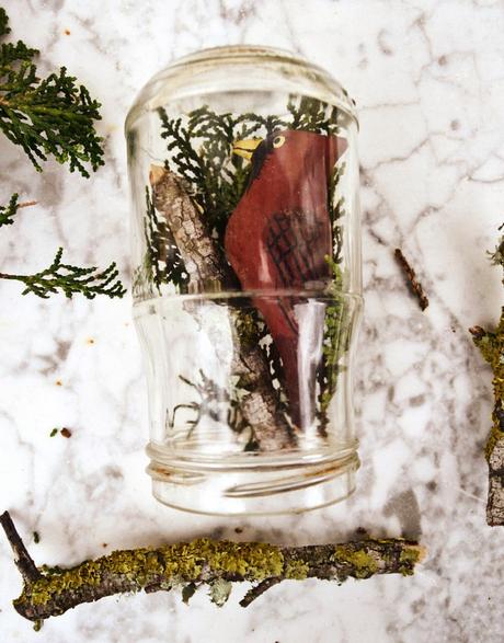 diy, hazlo tu mismo, do it your self, halloween, cardenal, bote de cristal, diorama, fanal, campana cristal