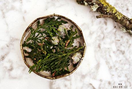 diy, hazlo tu mismo, do it your self, halloween, cardenal, bote de cristal, diorama, fanal, campana cristal