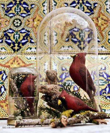 diy, hazlo tu mismo, do it your self, halloween, cardenal, bote de cristal, diorama, fanal, campana cristal