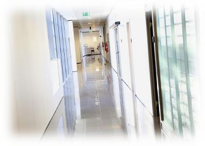 Reparar a los vivos - Maylis de Kerangal Reparar a los vivos - Maylis de Kerangal