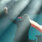 Se incendia el Domo con la presentación de Maná