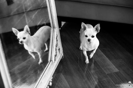 Boda puerto madero0001