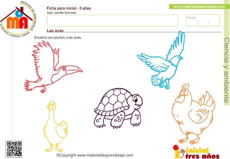 Las aves- Ciencia y ambiente 3 años
