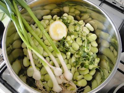 farmaceuticainmavinue