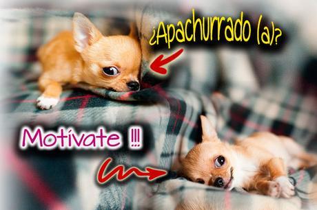¿Apachurrado? …5 consejos para Motivarte ¿Apachurrado? …5 consejos para Motivarte