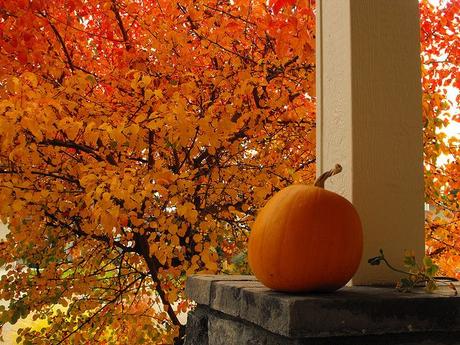 Ideas para adornar la casa en Halloween     /      Ideas for decorating the house for Halloween: