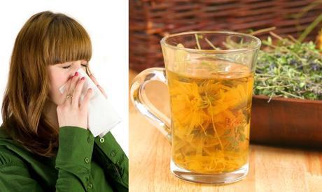 plantas-resfriados-tos-xl-668x400x80xX