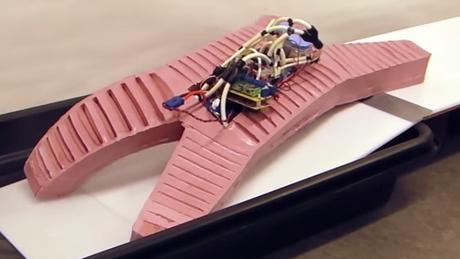 Equipo de la Universidad de Harvard, desarrolla robots blandos con impresoras 3d. (VÍDEO)