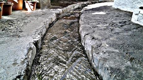 LA JARAPA ALPUJARREÑA