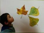 Soplamos las hojitas de otoño