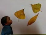 Soplamos las hojitas de otoño