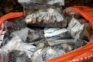 tesoros encontrados por aficionados y arqueólogos