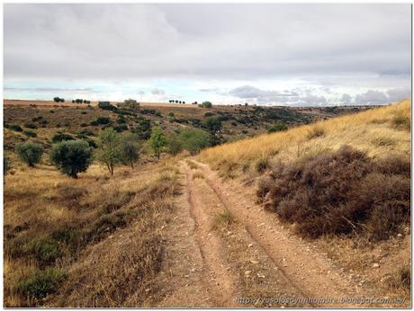 Bajada a la huerta