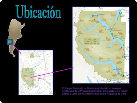 El parque nacional Los Alerces ostenta y resguarda simultáneamente encantadores bosques de alerces milenarios.