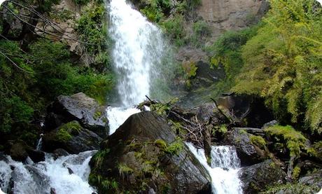 Son innumerables los aspectos que hacen del Parque Nacional “Los Alerces” un ecosistema realmente destacado.